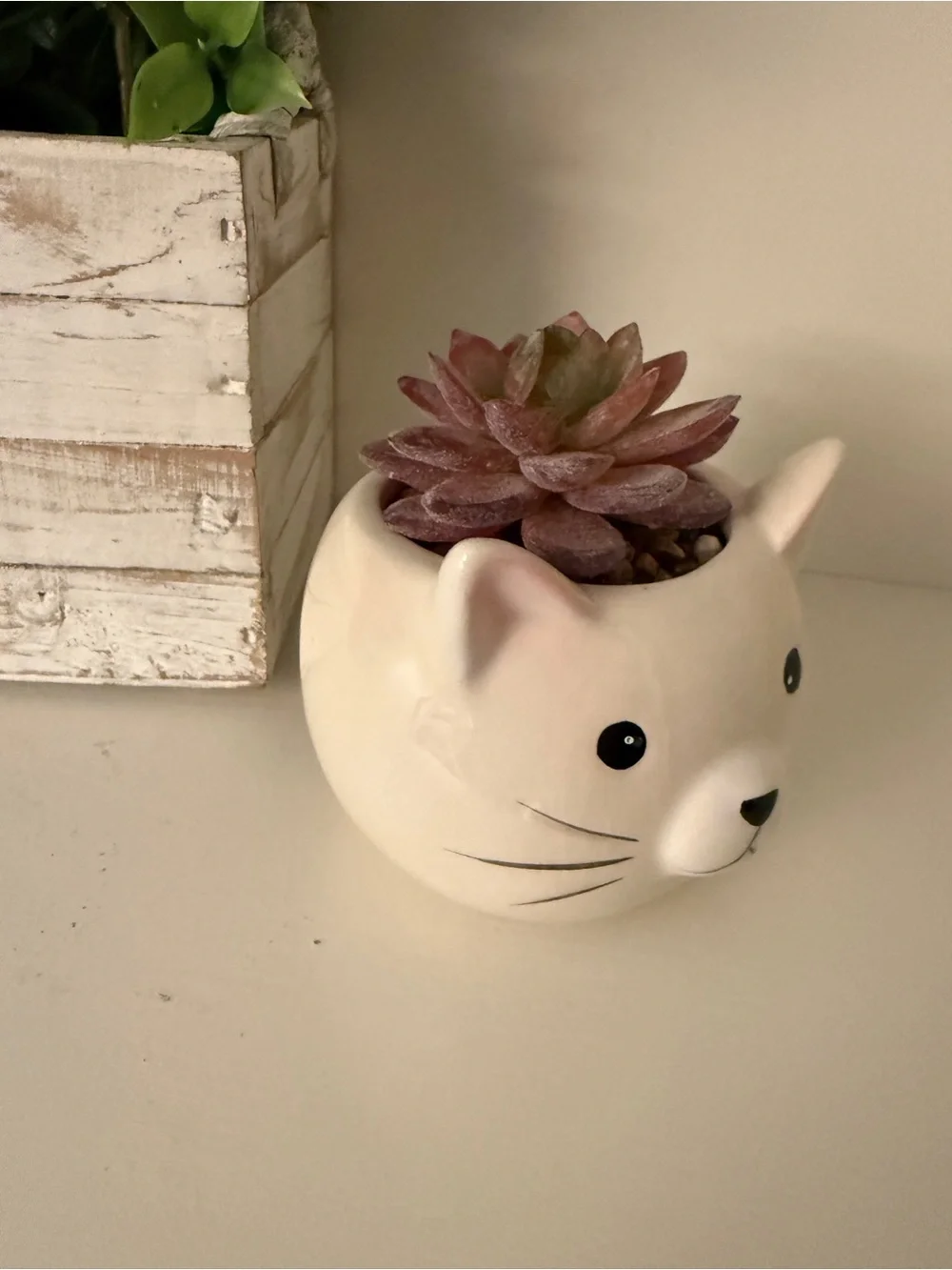 Cute Ceramic Cat Face Planter Pot White Faux Kitty Succulent Holder Decor